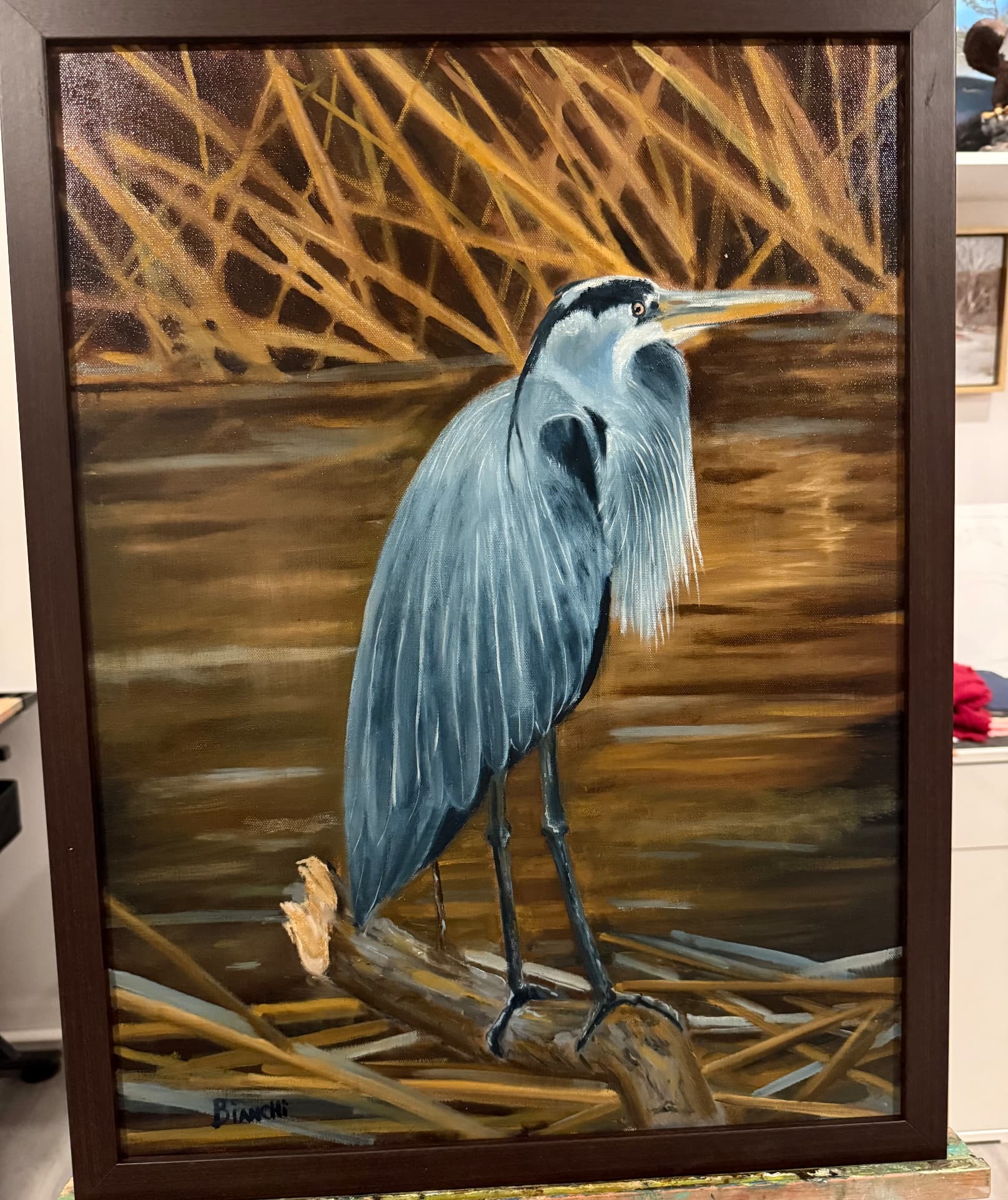 Great Blue Heron, Oil on canvas, framed, 2024