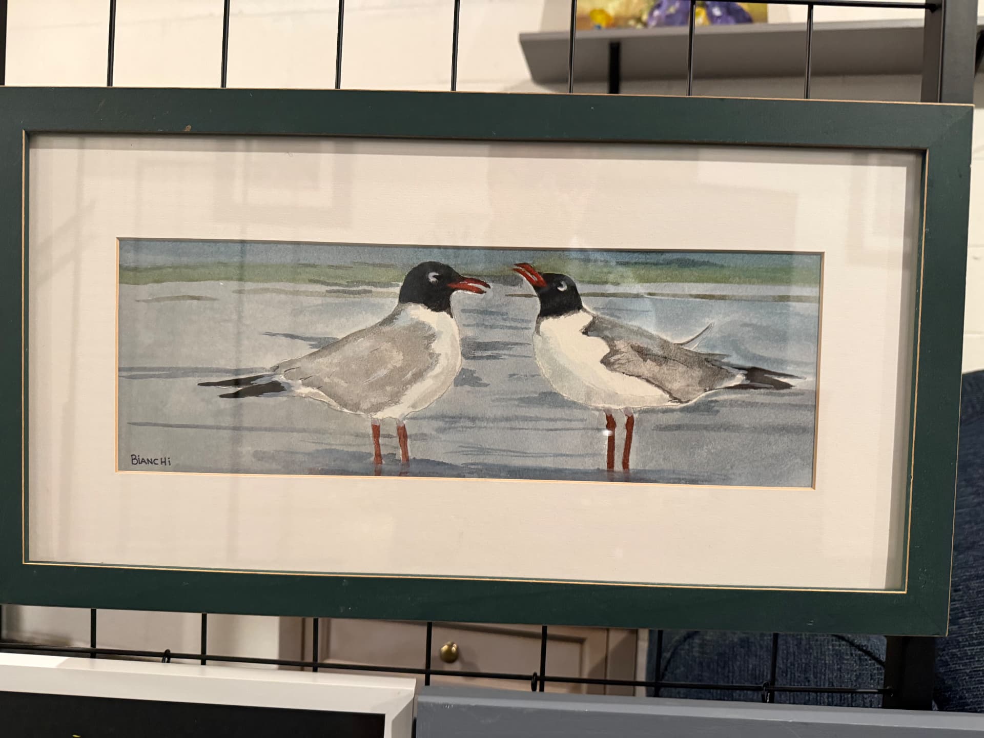 Two Laughing Gulls, Watercolor on paper, framed, 2024